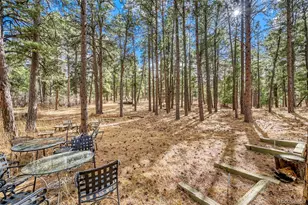 3392 Estates Circle, Larkspur, CO 80118 - Photo 34