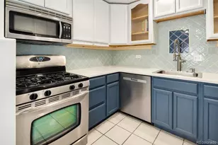 1029 N Pennsylvania Street, Denver, CO 80203 - Photo 16
