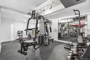 1255 N Ogden St, Denver, CO 80218 - Photo 28