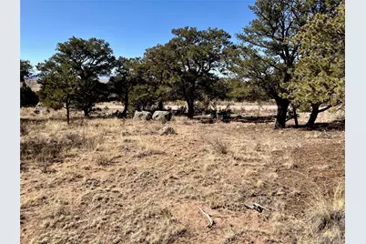 251 Baca Grant Way, Crestone, CO 81131 - Photo 6