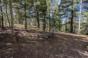 60 Fluorite Ln, Divide, CO 80814 - Photo 1
