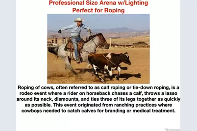 14803 Wandcrest Drive, Pine, CO 80470 - Photo 38