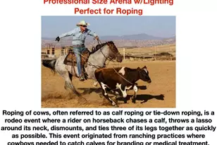 14803 Wandcrest Dr, Pine, CO 80470 - Photo 38