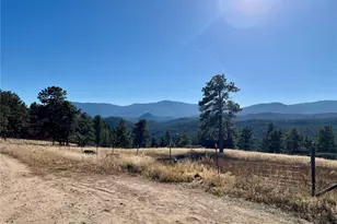 14803 Wandcrest Dr, Pine, CO 80470 - Photo 46