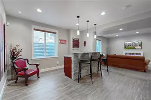 20303 Spruce Point Pl, Parker, CO 80134 - Photo 36