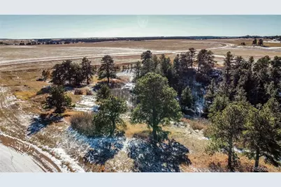 10555 Big Sky Trail, Elbert, CO 80106 - Photo 6