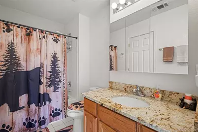 1469 Nemrick Place, Castle Rock, CO 80109 - Photo 14
