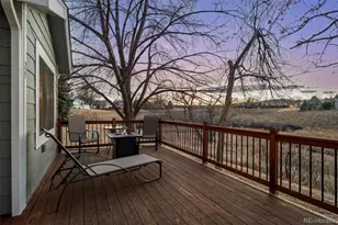 24 Abernathy Ct, Highlands Ranch, CO 80130 - Photo 30