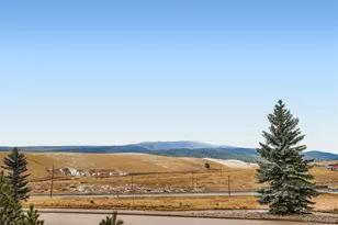 190 Shannon Pl, Divide, CO 80814 - Photo 28