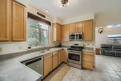 190 Shannon Place, Divide, CO 80814 - Photo 10