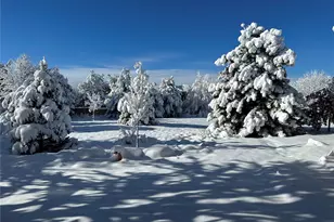 6569 S Blackhawk Way, Aurora, CO 80016 - Photo 30