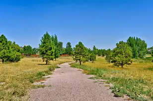 11828 Trail View Ln, Parker, CO 80134 - Photo 40