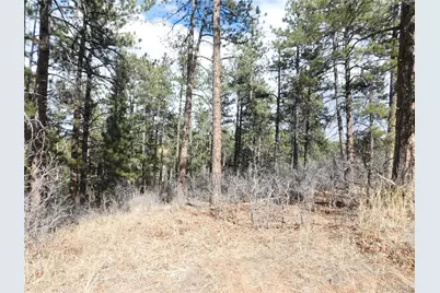 8122 Acoma Drive, Larkspur, CO 80118 - Photo 6