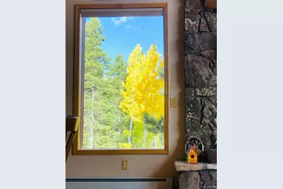 890 Royal Ridge Drive, Bailey, CO 80421 - Photo 32