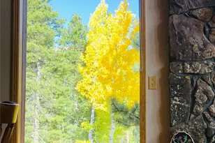890 Royal Ridge Dr, Bailey, CO 80421 - Photo 32