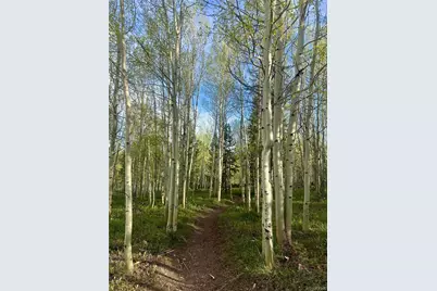95600 Ryan Gulch Road #95613, Silverthorne, CO 80498 - Photo 34