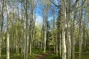 95600 Ryan Gulch Rd, Silverthorne, CO 80498 - Photo 34