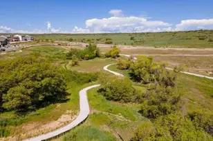 13788 Daffodil Wy, Parker, CO 80134 - Photo 36