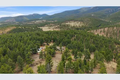 901 Cr 64, Bailey, CO 80421 - Photo 40