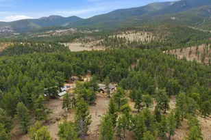 901 Co Rd 64, Bailey, CO 80421 - Photo 40
