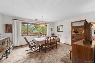 901 Co Rd 64, Bailey, CO 80421 - Photo 16