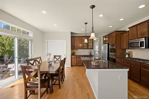 8747 S Buchanan Way, Aurora, CO 80016 - Photo 14