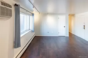 1245 Race, Denver, CO 80206 - Photo 8