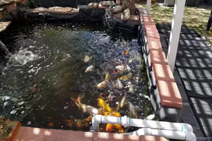 10716 Steele St, Northglenn, CO 80233 - Photo 34