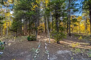 1119 Venture Road Rd, Fairplay, CO 80440 - Photo 40