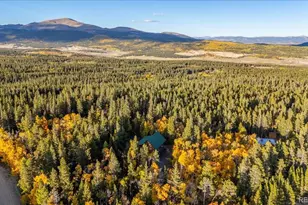 1119 Venture Road Rd, Fairplay, CO 80440 - Photo 48