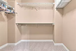 9218 Viaggio Way, Littleton, CO 80126 - Photo 32