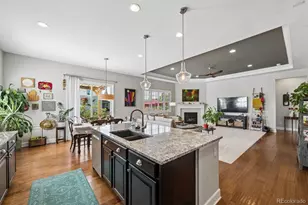 264 Horizon Ave, Erie, CO 80516 - Photo 8