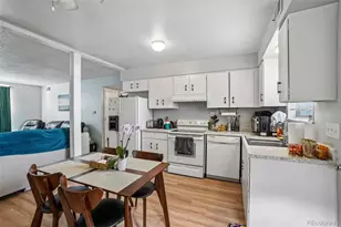 331 N Columbine St, Golden, CO 80403 - Photo 34