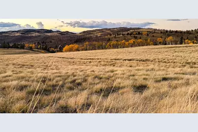 Lot 409 Brophy Drive, Fort Garland, CO 81133 - Photo 10