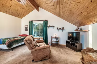 315 Haida Road, Como, CO 80432 - Photo 28