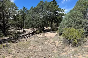 216 W View Rd, Cotopaxi, CO 81223 - Photo 1