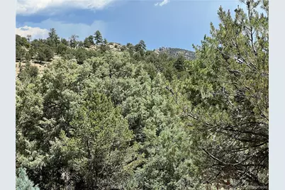 216 West View Road, Cotopaxi, CO 81223 - Photo 4