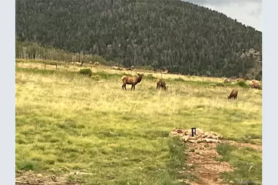 1115 Eagles Gate Road, Westcliffe, CO 81252 - Photo 46