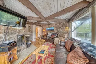 16695 Co Rd 162, Nathrop, CO 81236 - Photo 10
