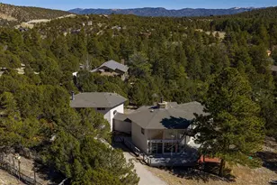 16695 Co Rd 162, Nathrop, CO 81236 - Photo 42