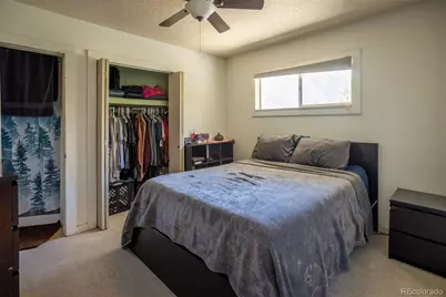 16695 County Road 162, Nathrop, CO 81236 - Photo 30