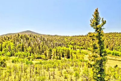 445 Warpath Road, Como, CO 80432 - Photo 4