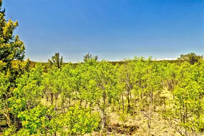 445 Warpath Road, Como, CO 80432 - Photo 8