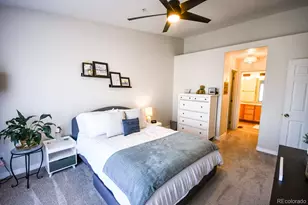 479 Black Feather Loop, Castle Rock, CO 80104 - Photo 22