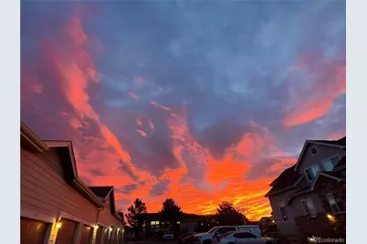 479 Black Feather Loop #319, Castle Rock, CO 80104 - Photo 26