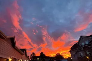 479 Black Feather Loop, Castle Rock, CO 80104 - Photo 26