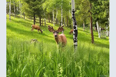 7256 Aspen Meadow Drive, Evergreen, CO 80439 - Photo 20