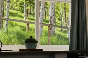 7256 Aspen Meadow Dr, Evergreen, CO 80439 - Photo 18