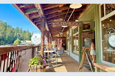 32857 Little Cub Road, Evergreen, CO 80439 - Photo 44