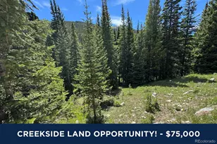 3894 4th of July Rd, Nederland, CO 80466 - Photo 1